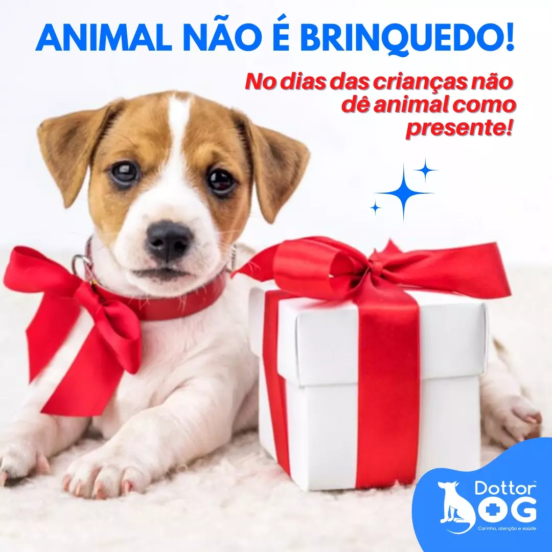 PET NÃO É BRINQUEDO!